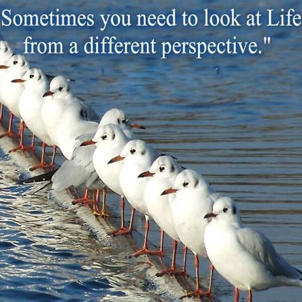 blister care from a different perspective