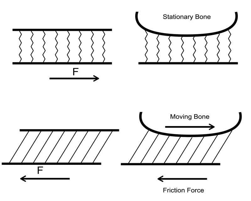 A simplified diagram representing shear. The diagram on the left is the one in Hoffman's paper. The diagram on the right is an my adaption.