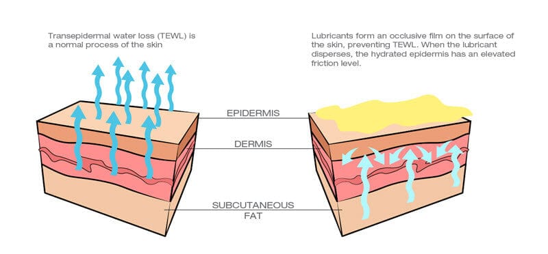 vaseline and greasy lubricants and transepidermal water loss