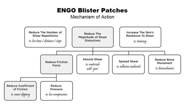 ENGO Blister Patches mechanism of action
