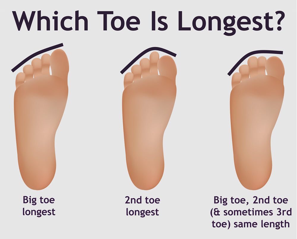 Which toe is longest
