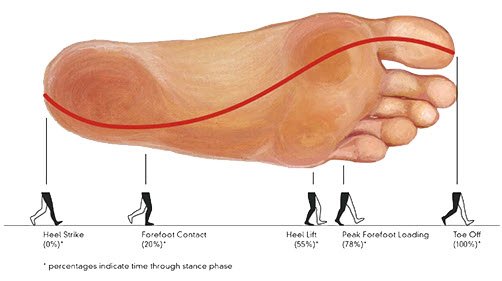 The transfer of pressure during gait from lateral to medial