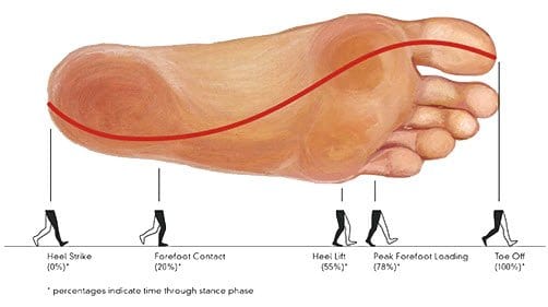 The tranfer of pressure during gait from lateral to medial